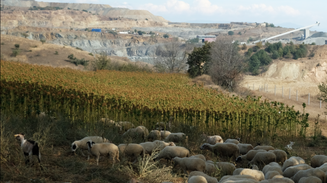 bucim-receives-an-integrated-pollution-prevention-and-control-ippc